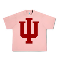 Salmon indiana hoosiers Urban Heavy Tee - tuanDangUi