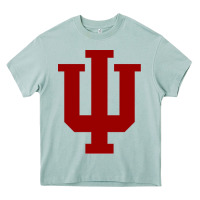 Arona indiana hoosiers Heavy Core Tee - tuanDangUi