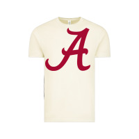 Vintage Arctic -alabama athletics Vintage Tee - DesignPulse