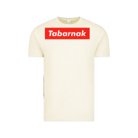 Vintage Arctic tabarnak quebec french canadian canada profanity sacre cuss premium t Vintage Tee - DesignPulse