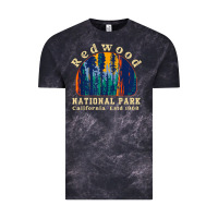 Cloud Black redwood national park california retro vintage cam Vintage Tee - DesignPulse