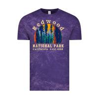 Cloud Purple redwood national park california retro vintage cam Vintage Tee - DesignPulse