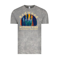 Cloud Rock redwood national park california retro vintage cam Vintage Tee - DesignPulse