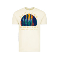 Vintage Arctic redwood national park california retro vintage cam Vintage Tee - DesignPulse