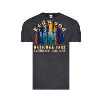 Redwood National Park California Retro Vintage Cam Vintage Tee | Teevron