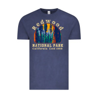Vintage Denim redwood national park california retro vintage cam Vintage Tee - DesignPulse