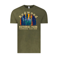 Vintage Olive redwood national park california retro vintage cam Vintage Tee - DesignPulse