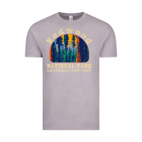 Vintage Zinc redwood national park california retro vintage cam Vintage Tee - DesignPulse