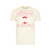 Vintage Arctic westerburg class of 89 (heathers) variant Vintage Tee - DesignPulse