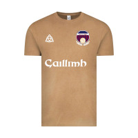 Vintage Camel galway gaillimh irish gaelic football and hurling premium Vintage Tee - DesignPulse