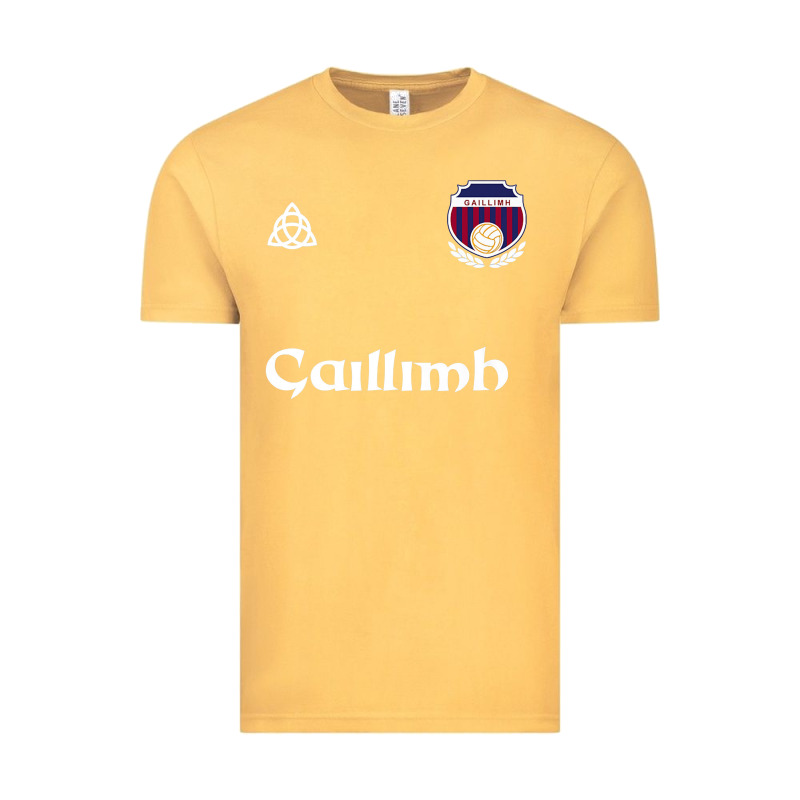 Galway Gaillimh Irish Gaelic Football And Hurling Premium Vintage Tee by DesignPulse | Teevron