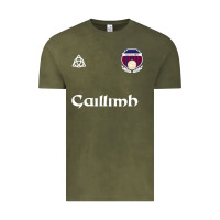 Vintage Olive galway gaillimh irish gaelic football and hurling premium Vintage Tee - DesignPulse