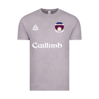 Vintage Zinc galway gaillimh irish gaelic football and hurling premium Vintage Tee - DesignPulse