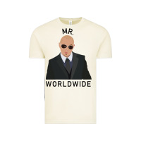 Vintage Arctic Pitbull Mr Worldwide Classic Vintage Tee - Craftify