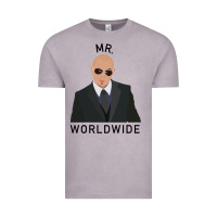 Vintage Zinc Pitbull Mr Worldwide Classic Vintage Tee - Craftify