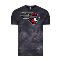 Cloud Black western colorado mountaineers Vintage Tee - Craftify