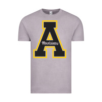 Vintage Zinc appalachia state mountaineers Vintage Tee - Craftify