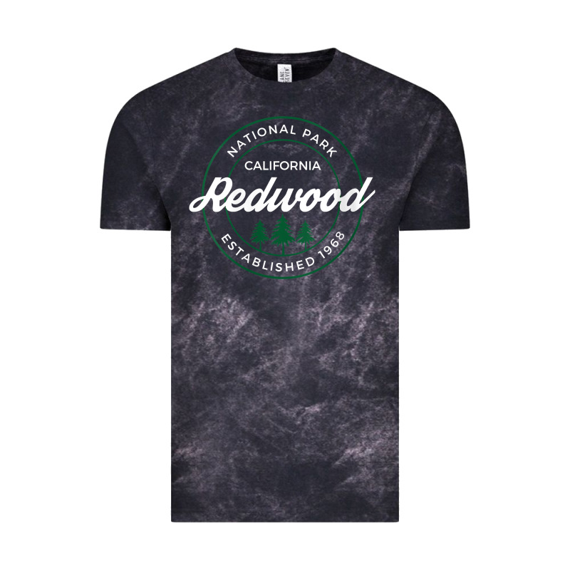 Womens Redwood National Park California Gifts Souvenir Ca V Neck T Shi Vintage Tee by Craftify | Teevron