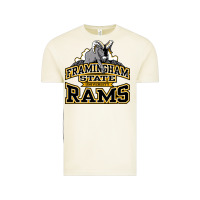 Framingham State Vintage Tee | Teevron