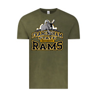 Vintage Olive framingham state Vintage Tee - InspiraDesign