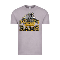 Vintage Zinc framingham state Vintage Tee - InspiraDesign
