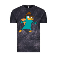 Cloud Black Perry The Platypus Vintage Tee - InspiraDesign