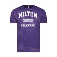 Milton Delaware De Vintage State Athletic Style T Shirt Vintage Tee | Teevron