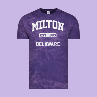 Milton Delaware De Vintage State Athletic Style T Shirt Vintage Tee Designed By Inspiradesign