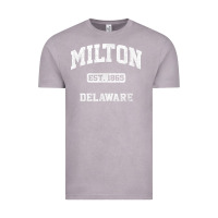 Vintage Zinc milton delaware de vintage state athletic style t shirt Vintage Tee - InspiraDesign