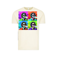 Vintage Arctic STEVIE WONDER! Vintage Tee - InspiraDesign