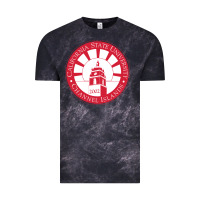 Cloud Black csu channel islands seal Vintage Tee - InspiraDesign