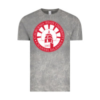 Cloud Rock csu channel islands seal Vintage Tee - InspiraDesign