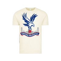 Vintage Arctic #crystal 'palace Vintage Tee - InspiraDesign