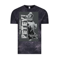 Little Rascals, Amazing Petey Vintage Tee | Teevron