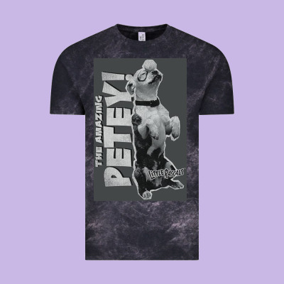 Little Rascals, Amazing Petey Vintage Tee Designed By Inspiradesign