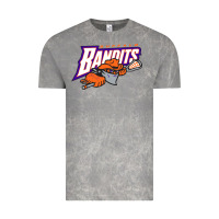 Cloud Rock the lacrosse buffalo bandits Vintage Tee - ArtChic