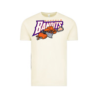 Vintage Arctic the lacrosse buffalo bandits Vintage Tee - ArtChic