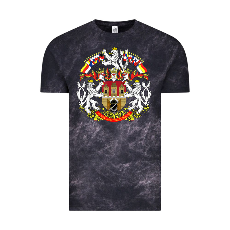 Praha Prague Czech Republic Coat Of Arms Ex Czechoslovakia T Shirt Vintage Tee by ArtChic | Teevron