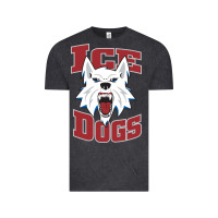 Vintage Black Fairbanks Ice Dogs Vintage Tee - ArtChic