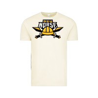Vintage Arctic Northern Kentucky Norse, Merch Vintage Tee - StudioElite
