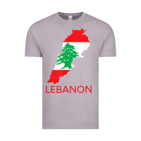Vintage Zinc Lebanon Flag Cedar Tree Beirut Lebanese Arabic Arab Islam Vintage Tee - StudioElite