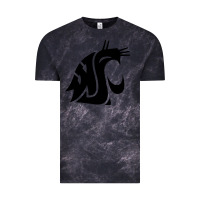 Cloud Black washington state cougars football Vintage Tee - StudioElite