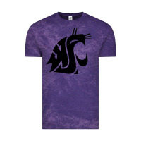 Cloud Purple washington state cougars football Vintage Tee - StudioElite