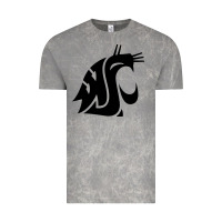 Cloud Rock washington state cougars football Vintage Tee - StudioElite