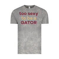 Cloud Rock too sexy to be a gator Vintage Tee - PixelFlow