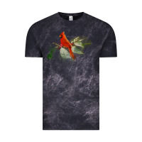 Cloud Black wild red cardinal bird long sleeve Vintage Tee - PixelFlow
