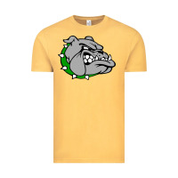 Ashville High School, Ashville Bulldogs Vintage Tee | Teevron