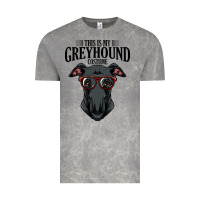 Cloud Rock greyhound t  shirt greyhound t  shirt (3) Vintage Tee - PixelFlow