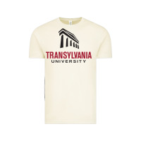 Vintage Arctic transylvania university Vintage Tee - PixelFlow