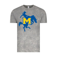 Cloud Rock mcneese  athletics Vintage Tee - PixelFlow